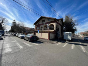 Vila 8 oaspeti